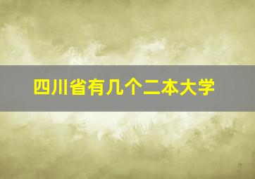 四川省有几个二本大学