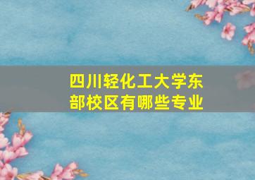 四川轻化工大学东部校区有哪些专业