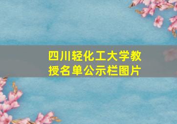 四川轻化工大学教授名单公示栏图片