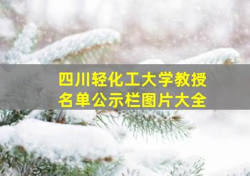 四川轻化工大学教授名单公示栏图片大全