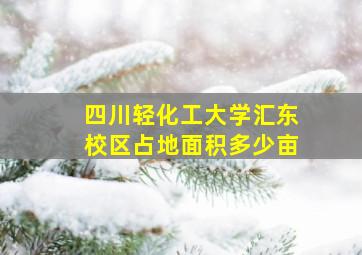 四川轻化工大学汇东校区占地面积多少亩