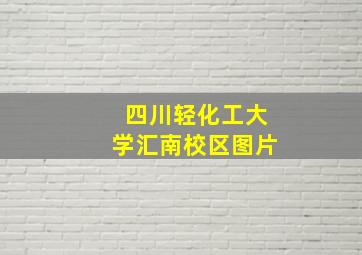 四川轻化工大学汇南校区图片