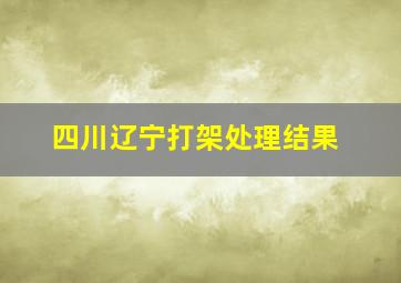 四川辽宁打架处理结果