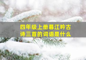 四年级上册暮江吟古诗三首的词语是什么