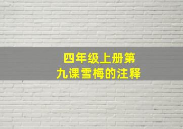 四年级上册第九课雪梅的注释