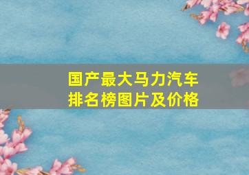 国产最大马力汽车排名榜图片及价格