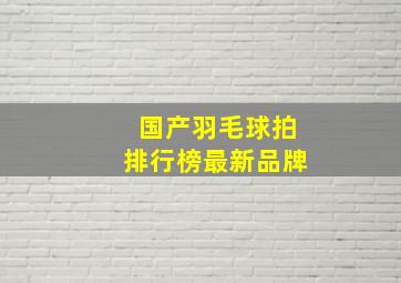 国产羽毛球拍排行榜最新品牌