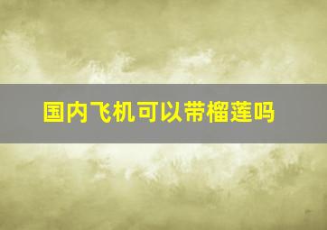 国内飞机可以带榴莲吗