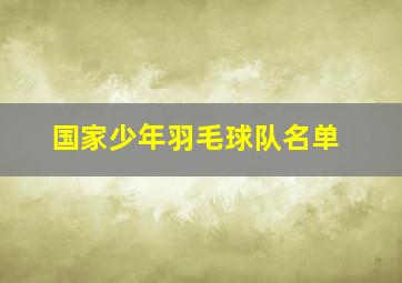 国家少年羽毛球队名单