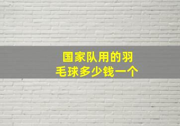 国家队用的羽毛球多少钱一个