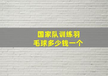 国家队训练羽毛球多少钱一个