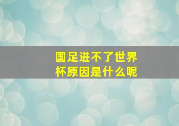 国足进不了世界杯原因是什么呢