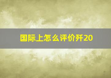 国际上怎么评价歼20