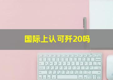 国际上认可歼20吗