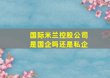 国际米兰控股公司是国企吗还是私企