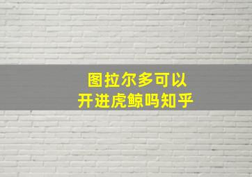 图拉尔多可以开进虎鲸吗知乎