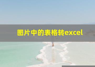 图片中的表格转excel