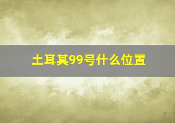 土耳其99号什么位置