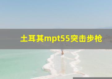 土耳其mpt55突击步枪