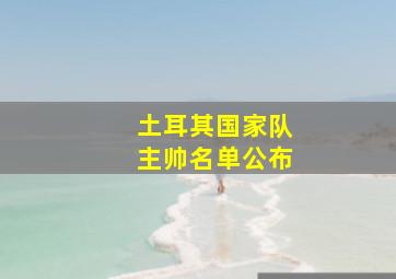 土耳其国家队主帅名单公布