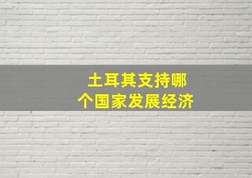 土耳其支持哪个国家发展经济