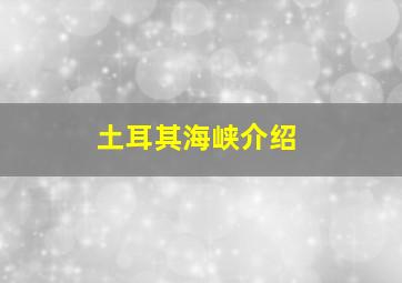 土耳其海峡介绍