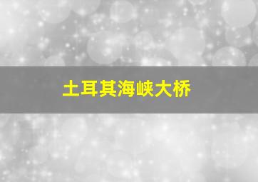 土耳其海峡大桥