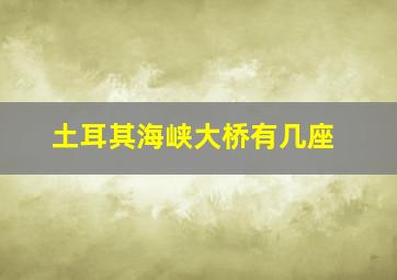 土耳其海峡大桥有几座