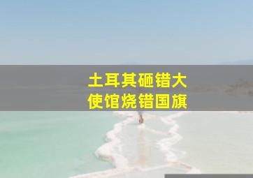 土耳其砸错大使馆烧错国旗