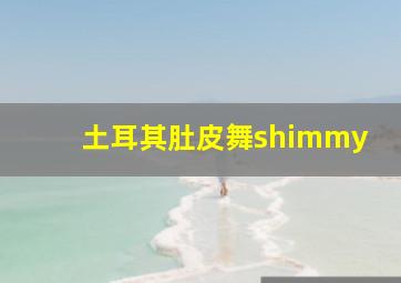 土耳其肚皮舞shimmy