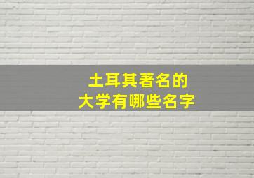 土耳其著名的大学有哪些名字