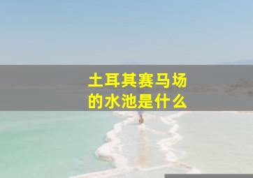 土耳其赛马场的水池是什么