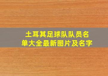 土耳其足球队队员名单大全最新图片及名字