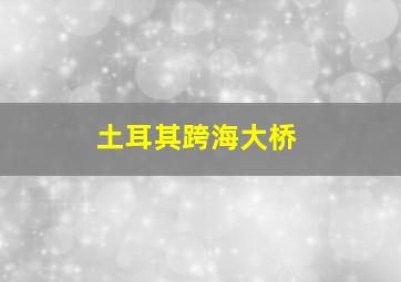 土耳其跨海大桥