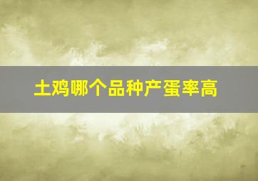 土鸡哪个品种产蛋率高