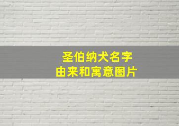 圣伯纳犬名字由来和寓意图片