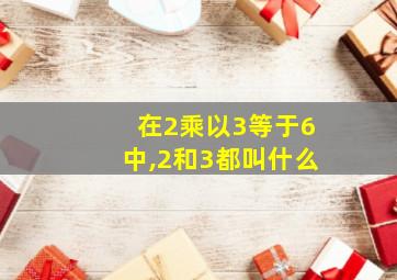 在2乘以3等于6中,2和3都叫什么