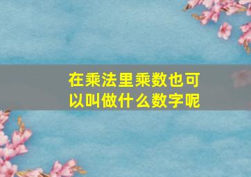 在乘法里乘数也可以叫做什么数字呢