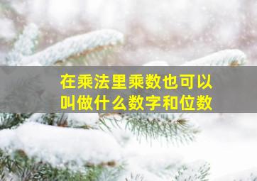 在乘法里乘数也可以叫做什么数字和位数