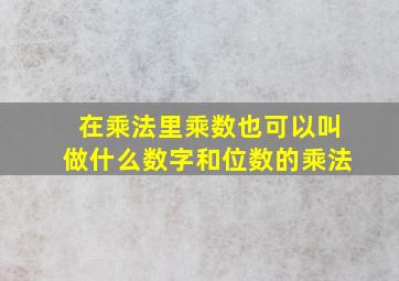 在乘法里乘数也可以叫做什么数字和位数的乘法