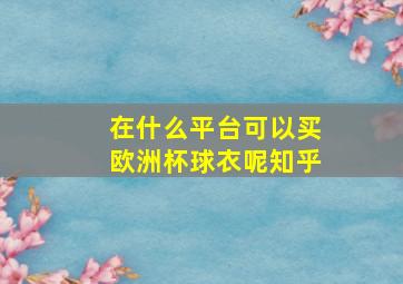 在什么平台可以买欧洲杯球衣呢知乎