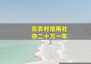 在农村信用社存二十万一年