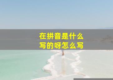 在拼音是什么写的呀怎么写