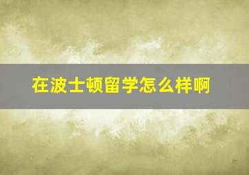 在波士顿留学怎么样啊