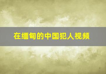 在缅甸的中国犯人视频