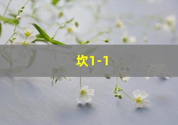 坎1-1