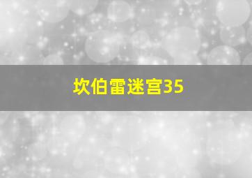 坎伯雷迷宫35