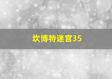 坎博特迷宫35