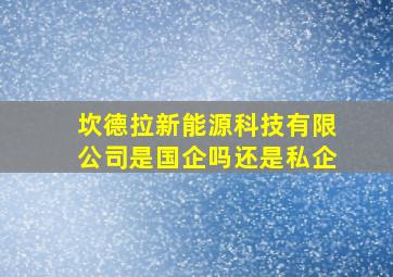 坎德拉新能源科技有限公司是国企吗还是私企