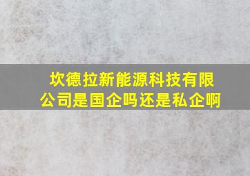 坎德拉新能源科技有限公司是国企吗还是私企啊